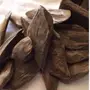 عود مروكي 