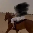 حصان