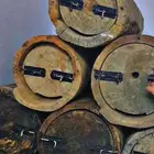 عيدان نحل بلدي