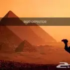 بمصر مرشد سياحي مصري بمصر القاهره بمصر مصر