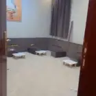 شقه للبيع في طويق الموسى