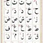 معلم تأسيس ومتابعة لمواد الصفوف الاولية والمتوسطة حضوري بالم