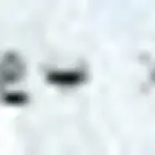 لوحة خصوصي للبيع رقم مميز ب ع ع 8050
