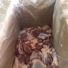 ذبايح خرفان وتيوس بلدي