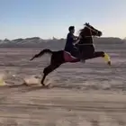 خيل شعبي  (مشاءالله تبارك الرحمن)