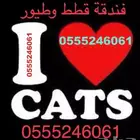 فندقة قطط وطيور 6061 24 0555 الرياض