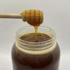 عسل سدر مضمون ومشروط