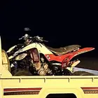 دباب رابتر