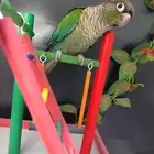 كنيور جرين شيك