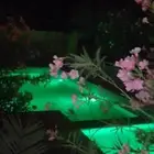مزرعه واستراحه عبق البيلسان