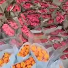 ورود الجملة و أسعار مناسبة