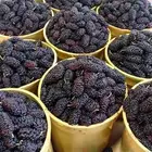 مشمش طايفي وتوت حامض حلو وتفاح بلدي