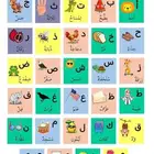 معلم لغتي وتأسيس القراءة والكتابة