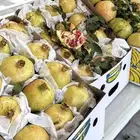 رمان جوف ال معمر