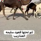 خلفه هديه وسلم