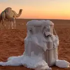 راعي أبل سوداني