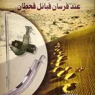 كتاب السيف والسنان عند قبيلة قحطان
