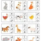 معلم متابعة وتأسيس لغتي الجميلة رياضيات انجليزي