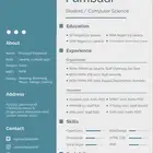 CV سيره ذاتيه احترافيه