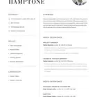 تصميم سيرة الذاتيه   CV بسعر مميز