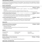 إنشاء سيرة ذاتية ( CV ) بنظام ATS