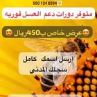 دورة اساسيات النحل فوريه