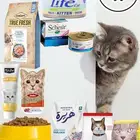 غابة افريقيا للحيوانات الاليفة