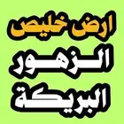 ارض للبيع خليص مخطط البريكة و الزهور