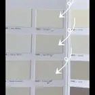 دهان الخبر