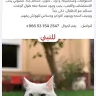 قطوة للتبني الرياض الخرج