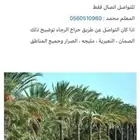 زرع  خلع  تكريب   تشويق  تطريح  تلقيح النخل