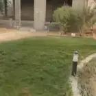 استراحة للبيع 1859 م مخطط ديراب