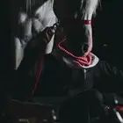 ركوب الخيل بالشهر