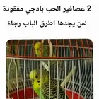 عصافير مفقودين في حي المروج