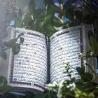 إمعلمة قرآن مجازة -