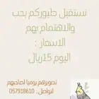 فندقة طيور