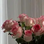 معل قة صوتية محترفة تقدم لك صوت يجذب الانتباه