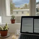 سيرة ذاتية احترافية