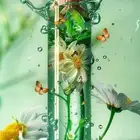 معلمة سودانية متميزة بالعزيزية - مراجعات نهائية (إنترناشونال