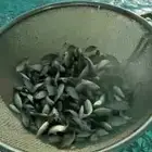 حائل