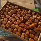 رطب سكري رقم واحد. مزرعه واحده