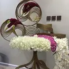 عربية ملكة عربية شبكة