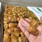 تمر مفتل