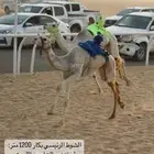 هجن
