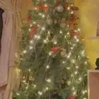 شجرة عيد الميلاد