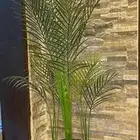 شجر زينة فاخر للمنزل