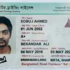 License Translation