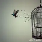 شقة شهريه
