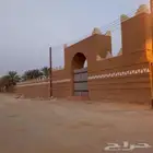 ابو حسن التراث
