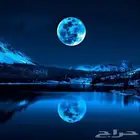 مطلوب سياره ايجار اى نوع